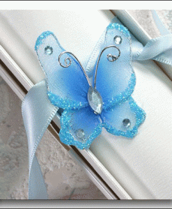 Two Tone White and Turquoise Butterfly
