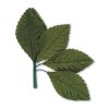 Satin Leaf Green